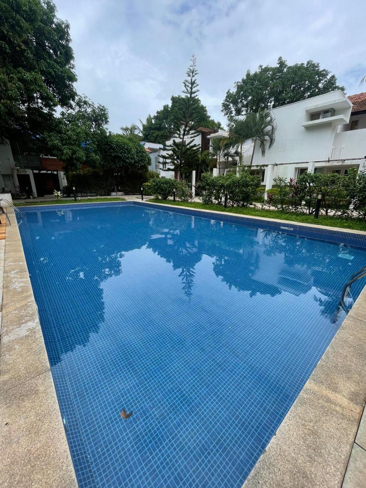 Villa M - Solitude 2 Candolim Goa 3Bhk, Pool Facing, Near Beach, Free Breakfast, Free Wifi And Prime Location Exterior foto